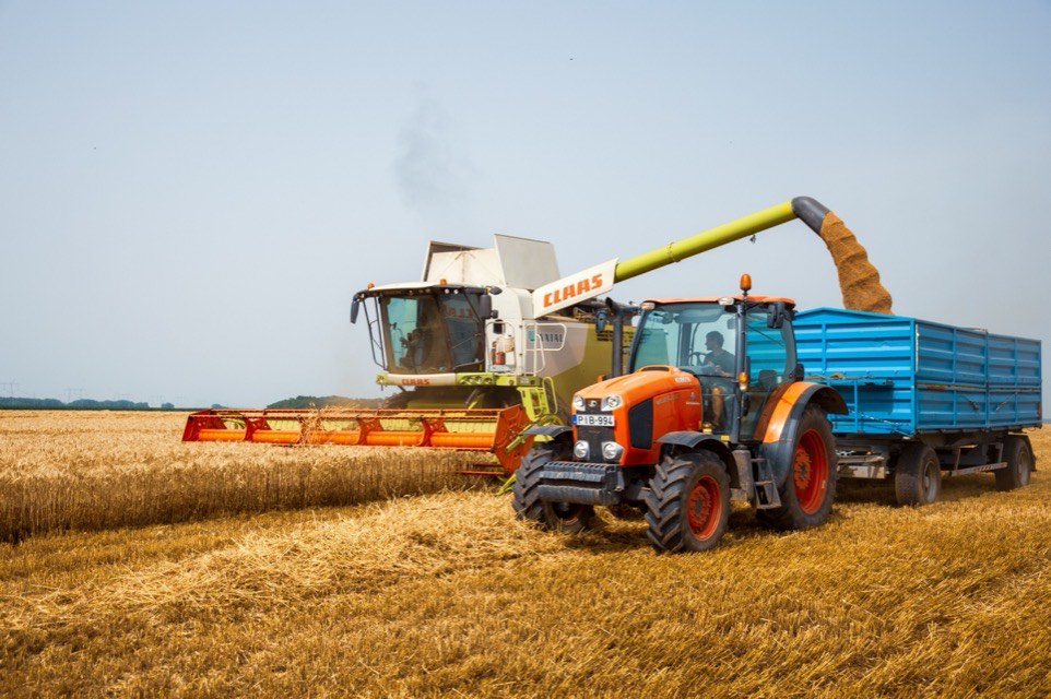 Cosechadora y tractor con acoplado trabajando un campo de trigo